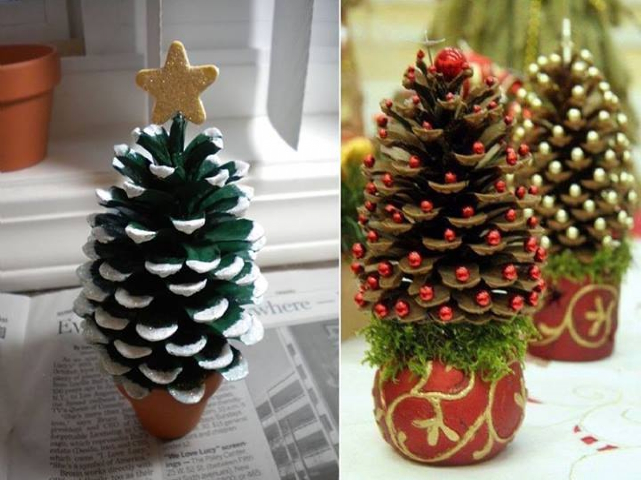 pine-cone-projects-6